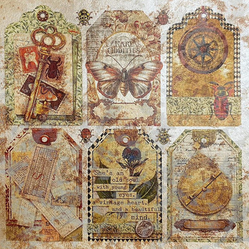 Cabinet of Curiosities Deluxe Pearl Paper 6"x6" by Ciao Bella - Craftywaftyshop